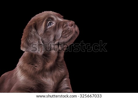 Drawing dog , puppy Labrador, portrait on a black background