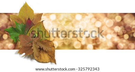 Autumn Leaf Bokeh Website Banner - Graphical wide bokeh orange and gold background header with a small group of autumn leaves on left side