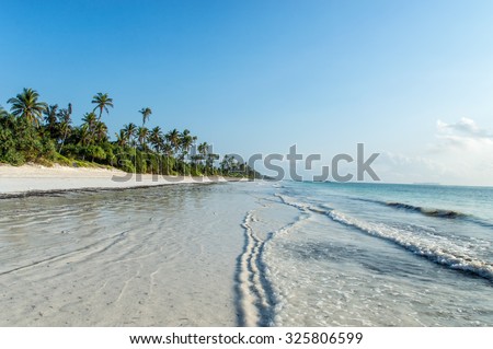 A deserted beach on the tropical island of Zanzibar Royalty-Free Stock Photo #325806599