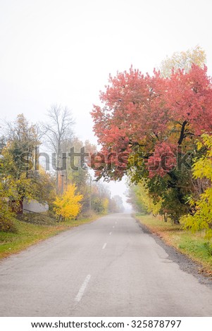 Picture of empty road between colorful autumn trees. Perspective way on foggy day outdoor background.
