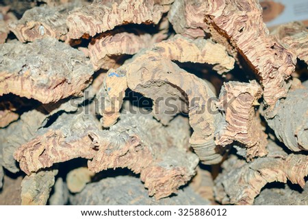 Picture of old tree cork. Textured background with many pieces of weathered oak cork in shades of brown.