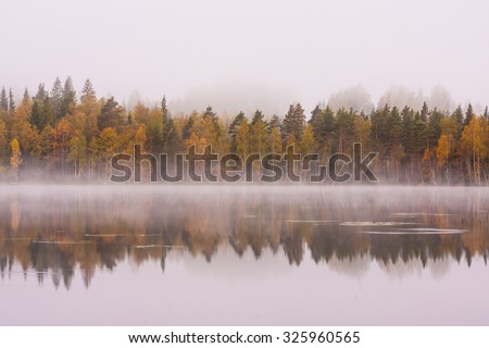 Foggy lake scape and vibrant autumn colors in trees at dawn Royalty-Free Stock Photo #325960565