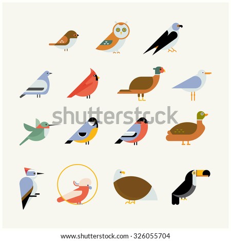Vector bird icon collection. Different birds species like: owl, toucan, hummingbird, bullfinch and more vector illustration birds