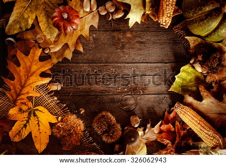 Thanksgiving dinner. Autumn fruit on wood with copyspace. Thanksgiving autumn background