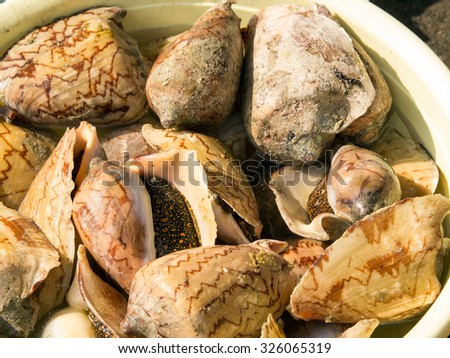 A background of snails for sale at a market