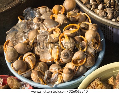 A background of snails for sale at a market