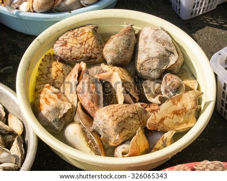 A background of mussels for sale at a market