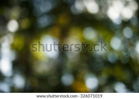 blurred background of autumn park, real photo