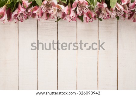 Alstroemeria Flowers on wooden background 
