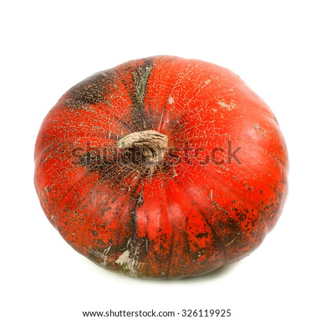Red ripe pumpkin. Isolated on white background.