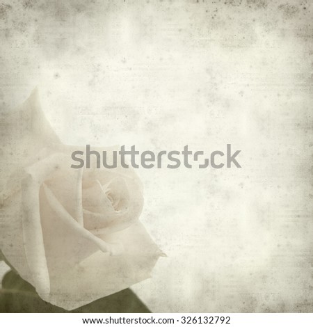 textured old paper background with gentle pink and yellow rose