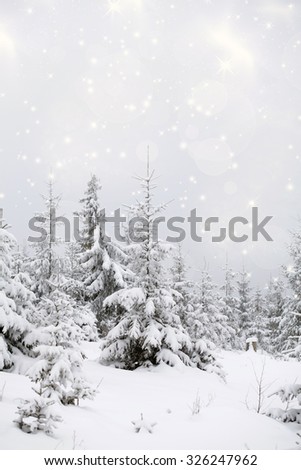 Trees covered with hoarfrost and snow in mountains - Christmas background