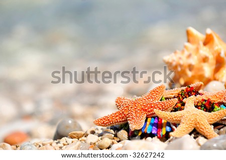 seashells and jewels on the beach