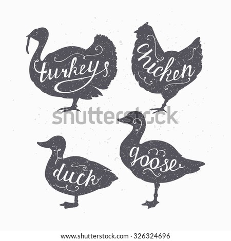 Set of hand drawn hipster style farm birds silhouettes. Chicken, turkey, goose, duck meat hand lettering. Butcher shop design template for craft meat packaging. Craft style. Vector illustration