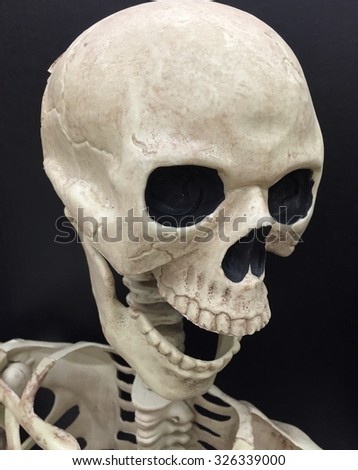 Halloween skull and skeleton on black background 