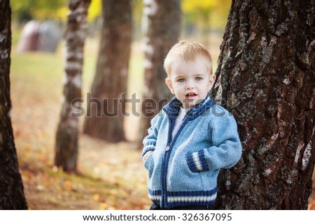 Portrait Cute little boy in a knitted sweater is playing  behind a tree in autumn park.