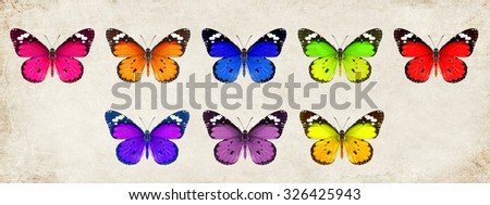 Butterflies of a various colors on textured old paper background