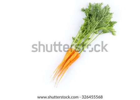fresh carrots with green leaves isolated on white background. vegetable. food