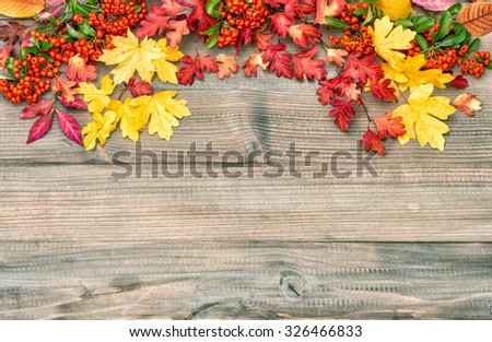 Red yellow leaves and berries on rustic wooden background. Autumn composition. Vintage style toned picture