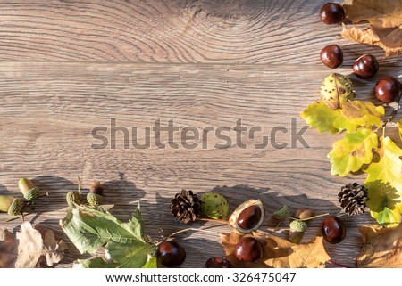 Autumn colorful leaves, chestnuts and acorns on a wooden table