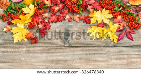 Autumn leaves and berries on rustic wooden background. Vintage style toned picture