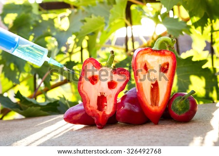 bell pepper next to a syringe against, gmo food concept Royalty-Free Stock Photo #326492768