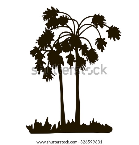 tropical forest,  jungle vintage template, palm tree silhouettes at white background, exotic trees, hand drawn vector illustration