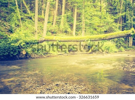 Vintage photo of beautiful landscape with summertime forest and river. Nature photo with vintage mood effect.