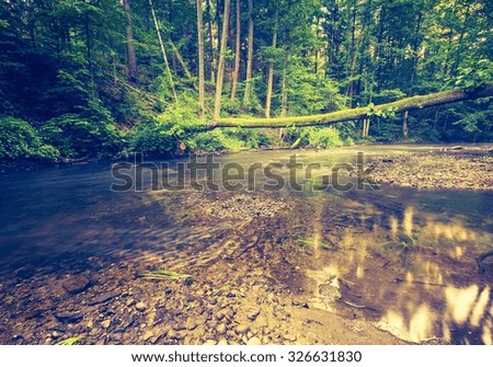 Vintage photo of beautiful landscape with summertime forest and river. Nature photo with vintage mood effect.