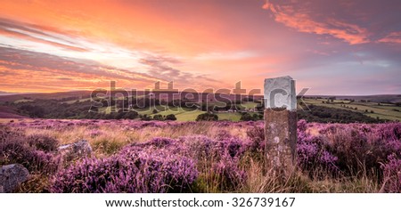 The sun sets over blooming heather in the North Yorkshire Moors National Park. Royalty-Free Stock Photo #326739167