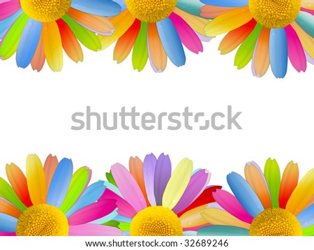 Beautiful Colored Flowers Isolated on White