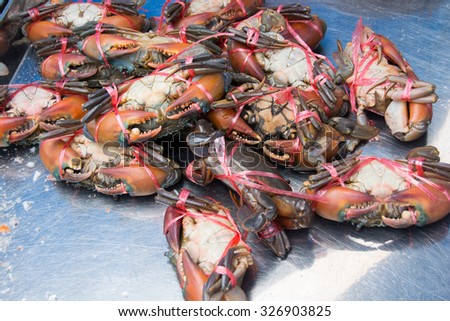 horse crab at the market for sell
