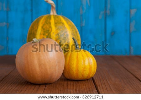 Set of pumpkins on blue wooden background with empty space for text.