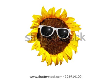 Head of Sunflower and Sunglasses