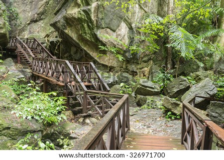 bridge in the park thailand