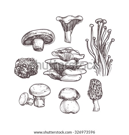 Mushroom set on white background Royalty-Free Stock Photo #326973596
