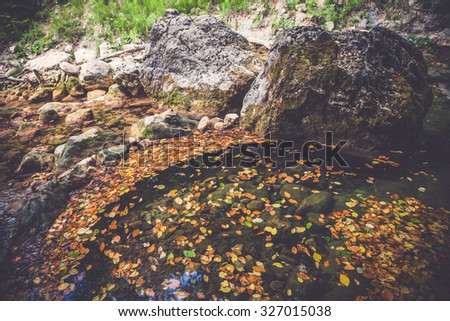 Beautiful river streaming on autumn mountain hiking trail. Fast river with cascades.
