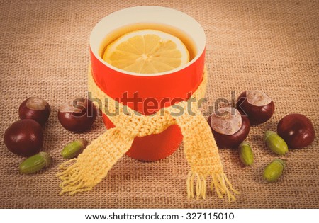 Vintage photo, Cup of hot tea with lemon wrapped woolen scarf and autumn decoration, warming beverage for flu and cold