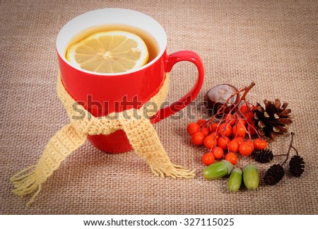 Cup of hot tea with lemon wrapped woolen scarf and autumn decoration, warming beverage for flu and cold