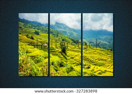 the collage Sapa, Vietnam Paddy fields, terraced culture, Sapa, Vietnam, Vietnam photos
