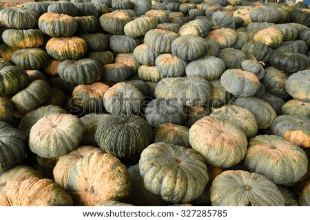 pile of pumpkin in market, Thailand 
