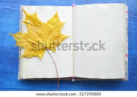 Notebook and autumnal leaves