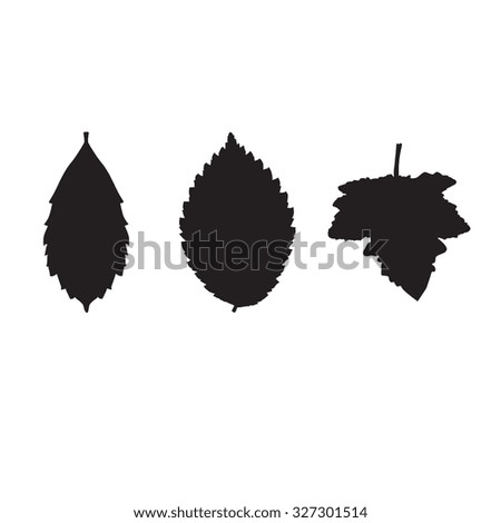 Set of silhouette autumn leaves icons. Collection autumn leaves in graphic style. Various autumn leaves black color. Set of autumn levels symbol with place for text