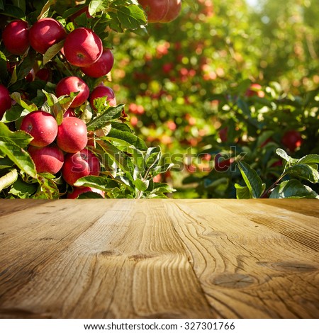 autumn apple orchard background 