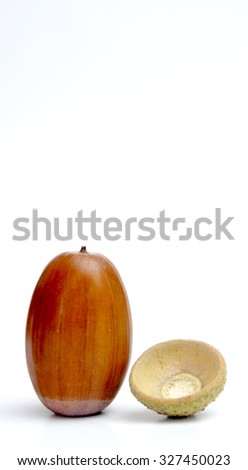 Picture of an Acorns on the white background. Autumn theme