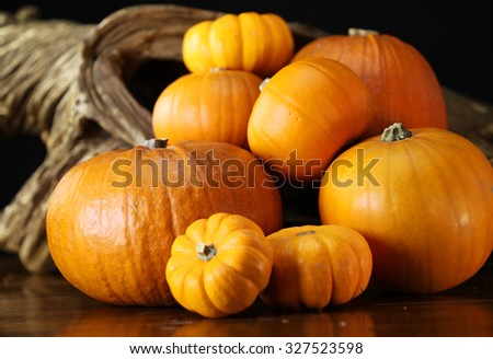 Assorted pumpkin display