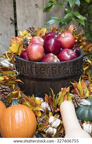Bucket with apples and pumpkins in an autumn decoration in orange, red, and green fall colors
