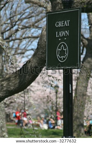 Springtime in Central Park
