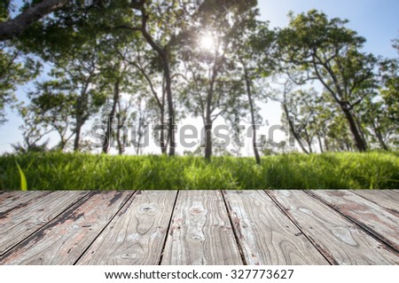 Sunrise in the forest background with wooden planks