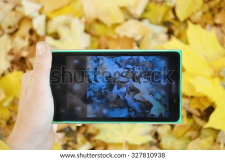 Woman taking picture of autumn park on her smartphone